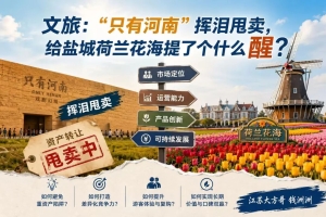文旅:“只有河南”挥泪甩卖，给盐城荷兰花海提了个什么醒？
