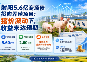 射阳5.6亿债券养猪遇猪周期，收益没达标！但投资者先别慌