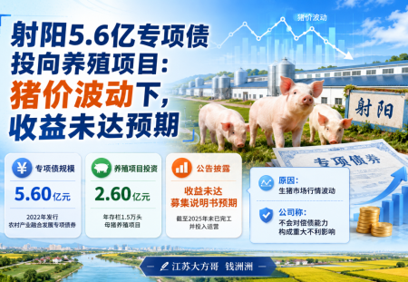 射阳5.6亿债券养猪遇猪周期，收益没达标！但投资者先别慌