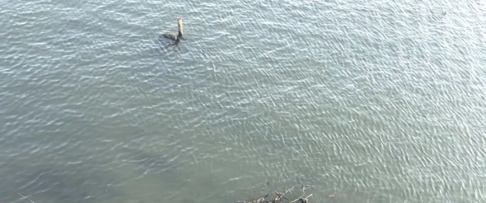 别让垃圾毁了盐城网红河！新洋街道担起责，守护盐城母亲河！