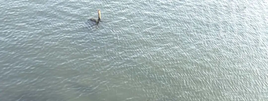 别让垃圾毁了盐城网红河！新洋街道担起责，守护盐城母亲河！