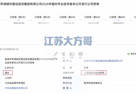 2.2个亿！亭湖城投刚拿到“通行证”，马上要有大动作？大方哥带你看门道！