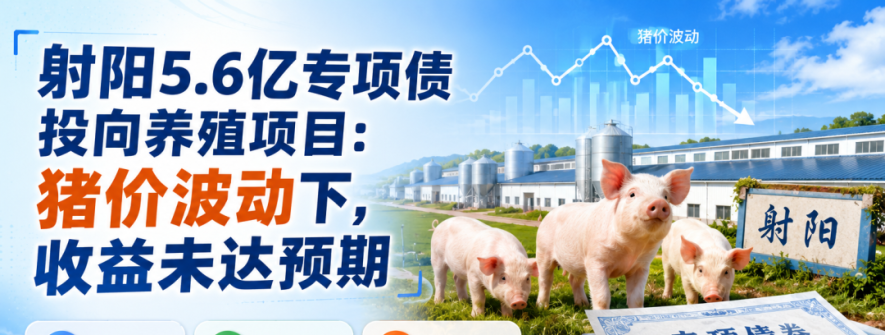 射阳5.6亿债券养猪遇猪周期，收益没达标！但投资者先别慌
