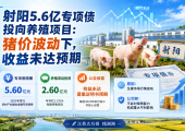 射阳5.6亿债券养猪遇猪周期，收益没达标！但投资者先别慌