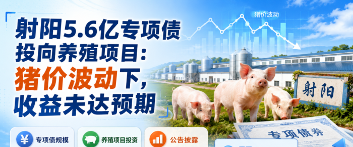 射阳5.6亿债券养猪遇猪周期，收益没达标！但投资者先别慌