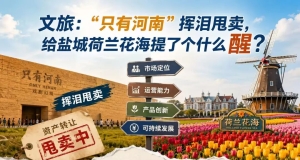 文旅:“只有河南”挥泪甩卖，给盐城荷兰花海提了个什么醒？