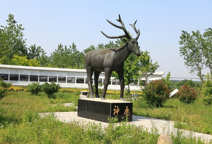 yan6-news-elk1.jpg