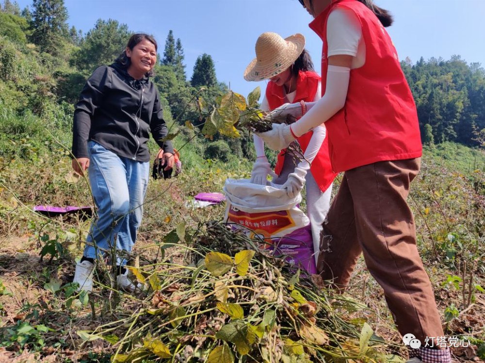 yan6-news-volunteer2.jpg