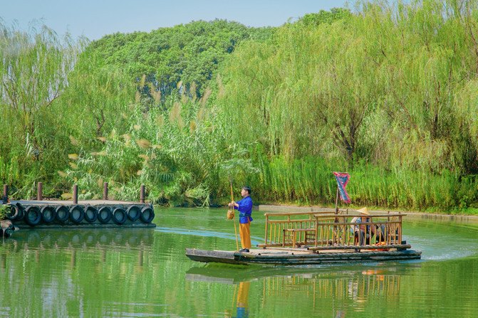 yan6-news-wetland1.jpg